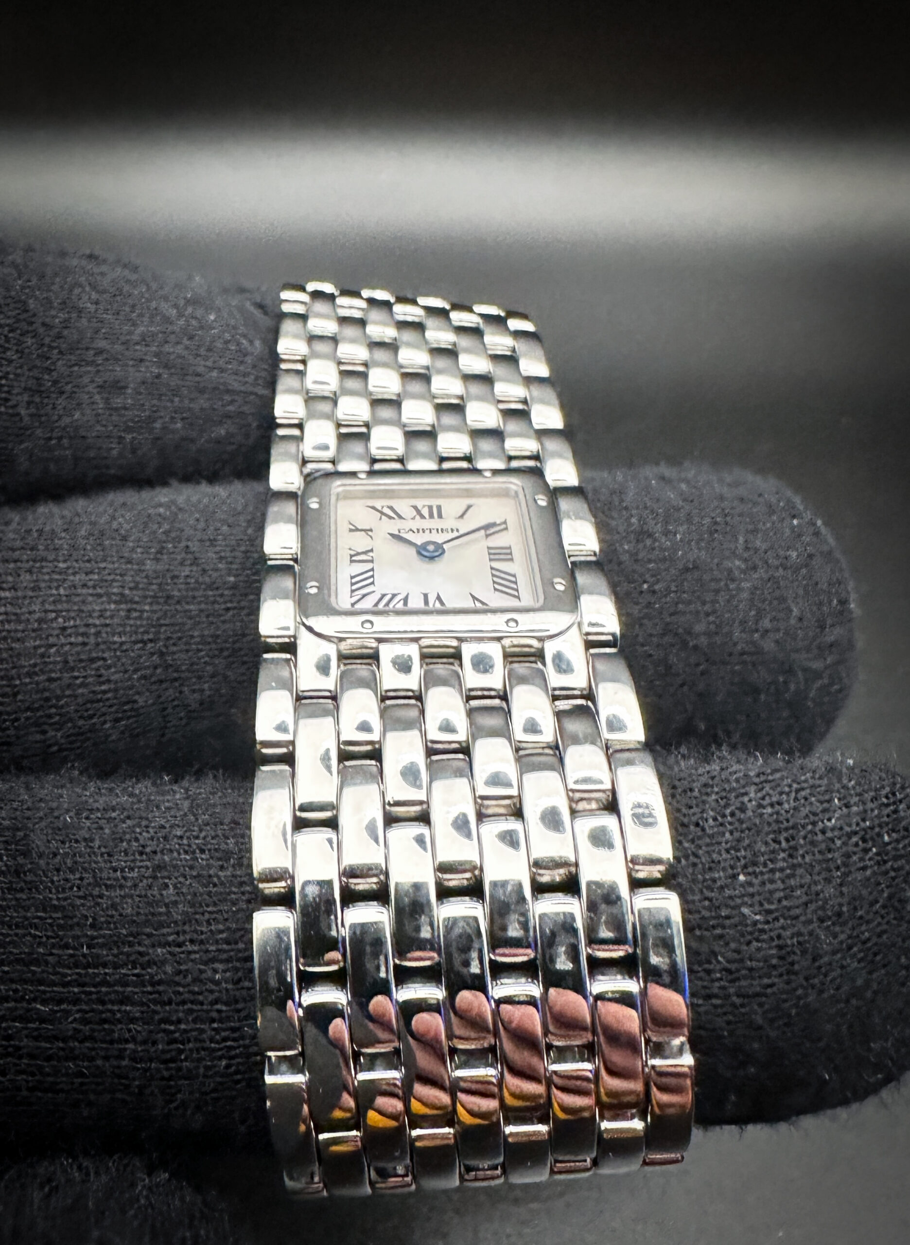 Cartier Panthere Ruban 2420 - Image 3